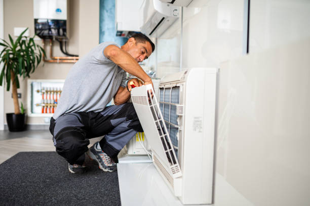 Best Air Duct Mold Removal  in Maryland City, MD