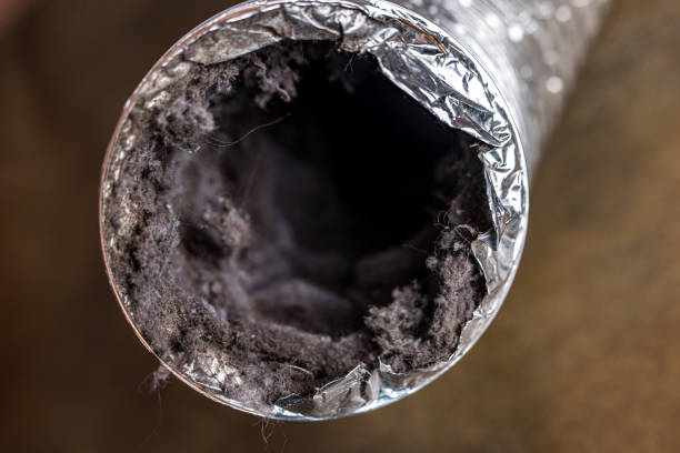 Best HVAC Air Duct Cleaning  in Maryland City, MD